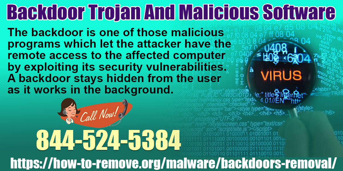 Backdoor Trojan And Malicious Software
