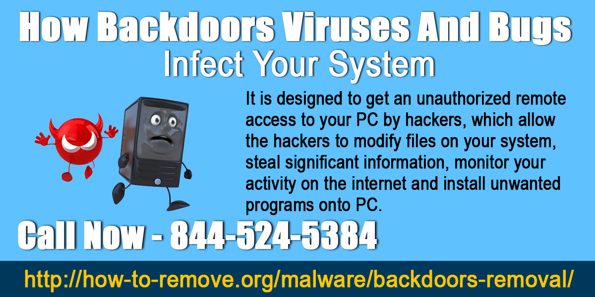 How Backdoors Viruses And Bugs Infect Your System