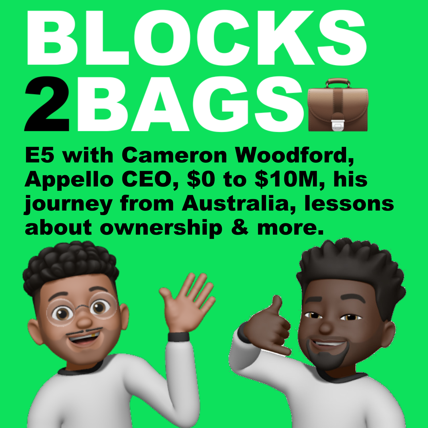 BLOCKS 2 BAGS