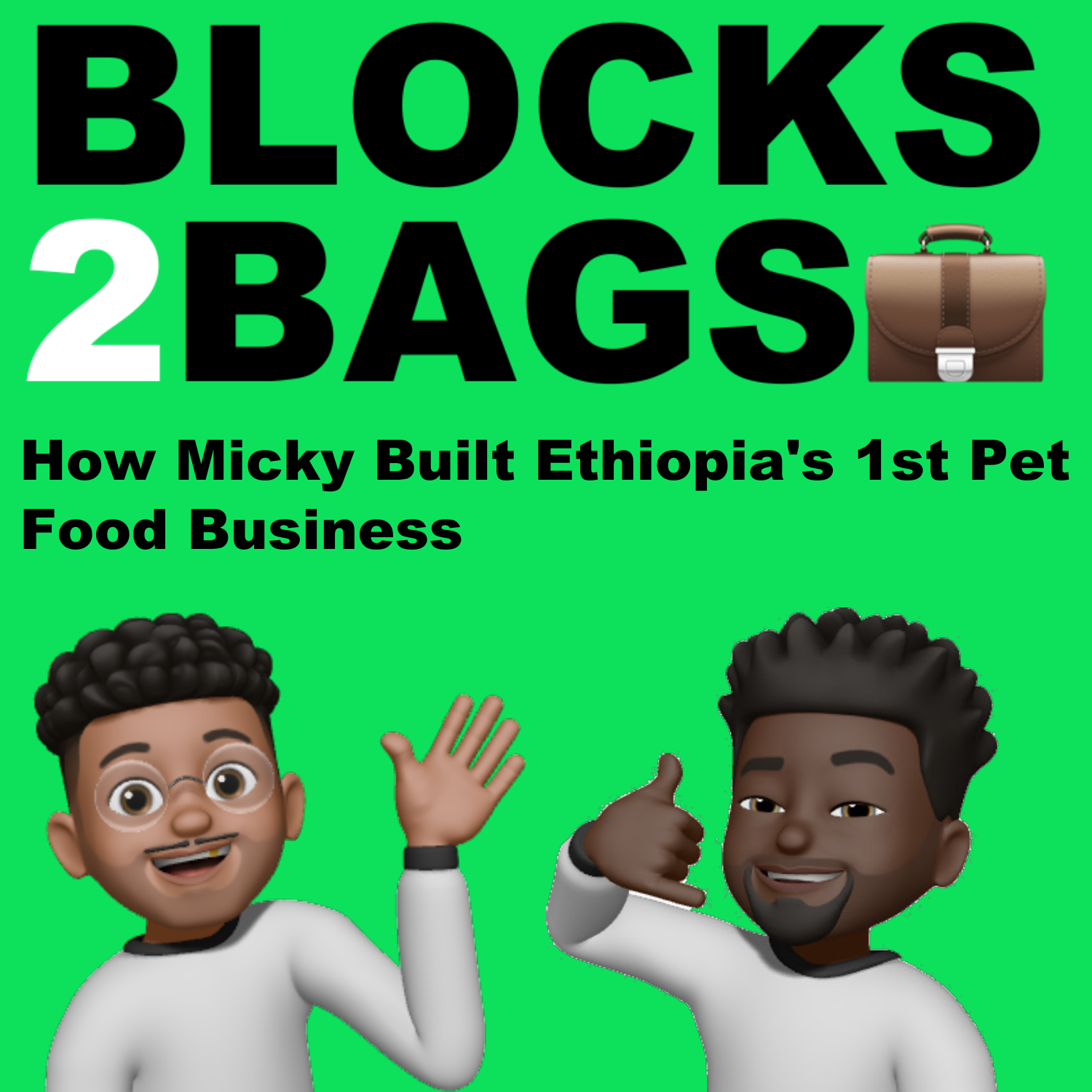 BLOCKS 2 BAGS
