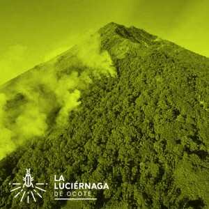 Tras incendios forestales, expertos advierten amenazas por lluvias