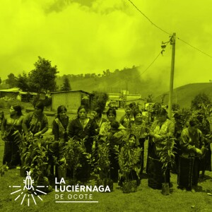 Reforestar y conservar desde la autogestión comunitaria