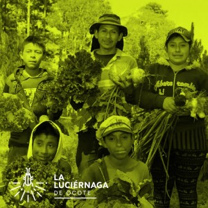 ¿Conoces los ingredientes de los productos que comes?