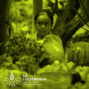 Alimentos nutritivos y locales