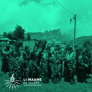 rawinkil na’jej li maak’a’chik xche’il ut rilb’al jo’ xcha’al li yalokq’e re li k’aleb’aal