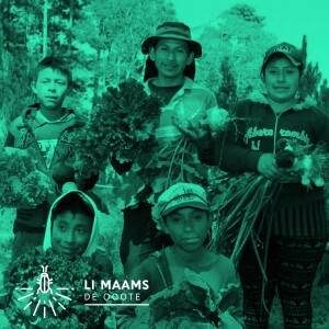 Man kanaw k’aruheb’ k’ub’anb’il wi’ li k’a’aqreru li na ka tzeka?