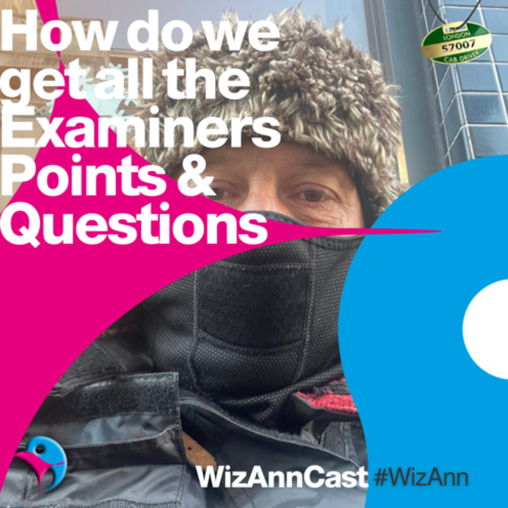 WizAnn