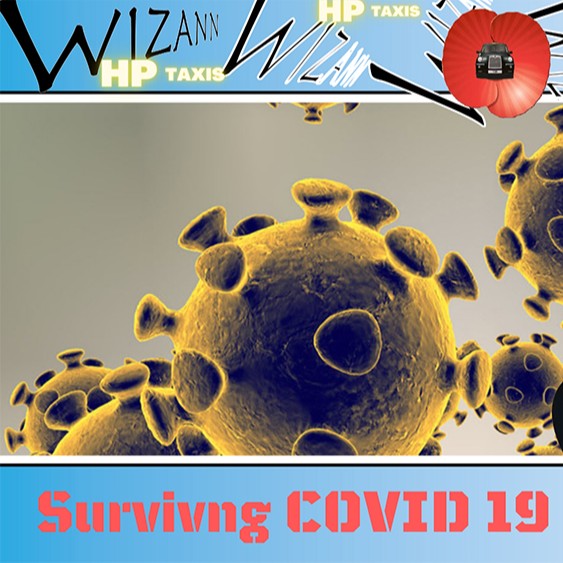 WizAnn