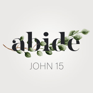 Abide, Ep 2 - How are abiding in Christ and loving God linked?