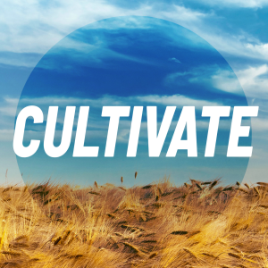 Cultivate Ep 2 - ”Disciples”