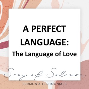 A Perfect Language: The Language of Love - Song of Solomon // Alex Pearson