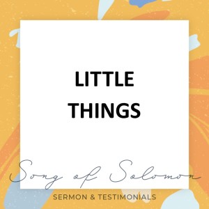 Little Things - Song of Solomon // Pastor Jon Wong