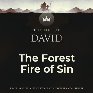 The Forest Fire of Sin - The Life of David // Pastor Rich Kao