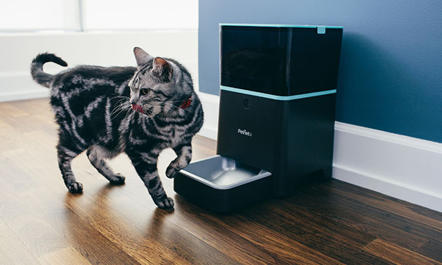 Automatic Cat Feeder-Food Dispensing System