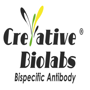 Bispecific antibodies