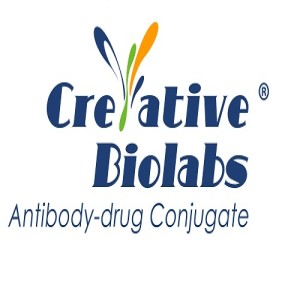 antibody design