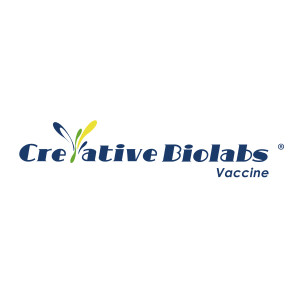 What is a vaccine