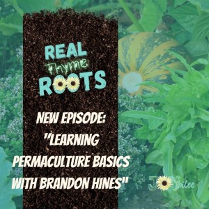 Learning Permaculture Basics with Brandon Hines