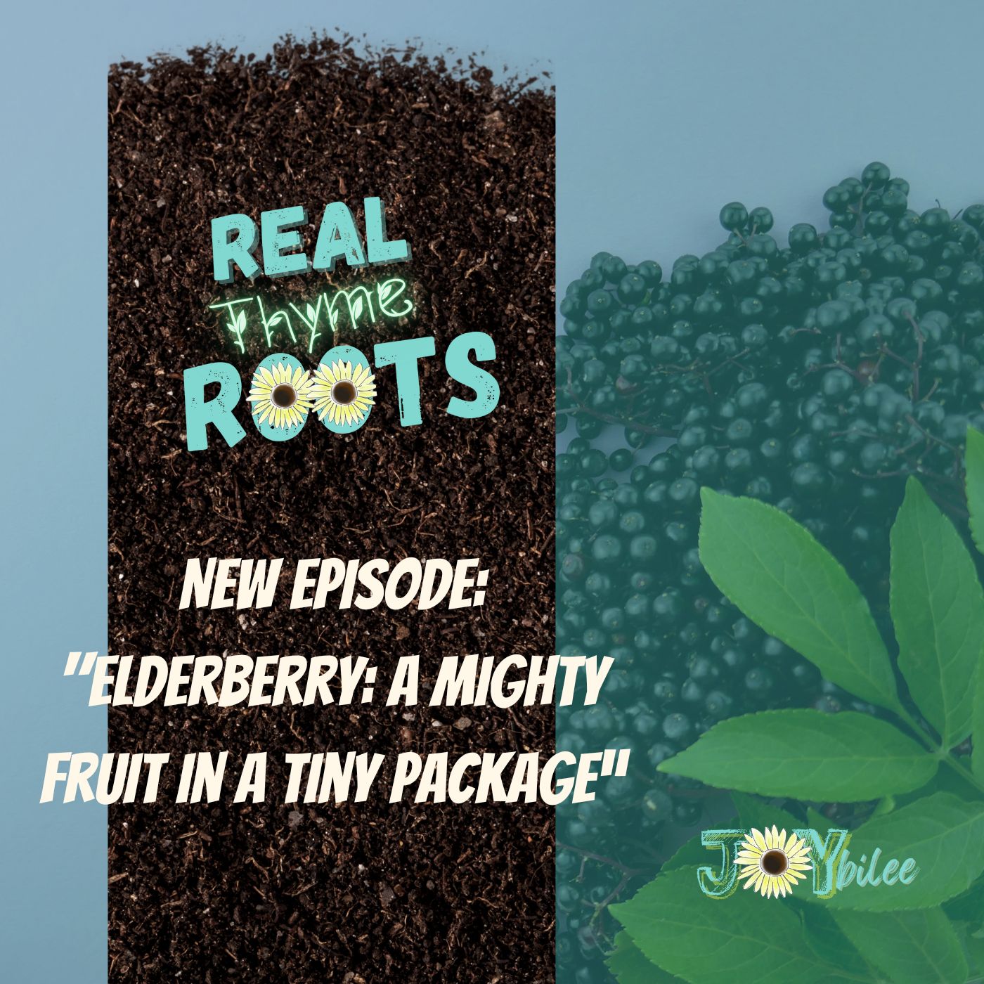 Elderberry: A Mighty Fruit in a Tiny Package