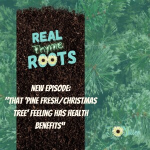 That “Pine Fresh/Christmas Tree” Feeling Has Health Benefits