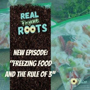 Freezing Food and the Rule of 3