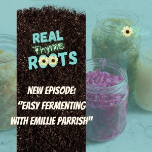Easy Fermenting with Emillie Parrish