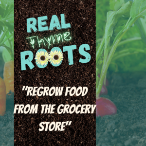 Regrow Food From the Grocery Store