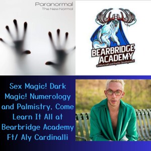 Magic! Dark Magic! Numerology and Palmistry, Come Learn It All at Bearbridge Academy Ft/ Aly Cardinalli