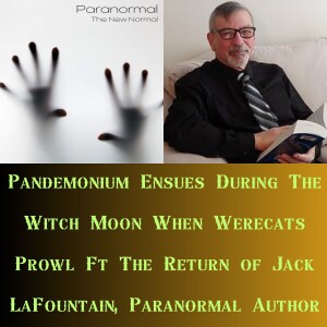 Pandemonium Ensues During The Witch Moon When Werecats Prowl Ft The Return of Jack LaFountain, Paranormal Author