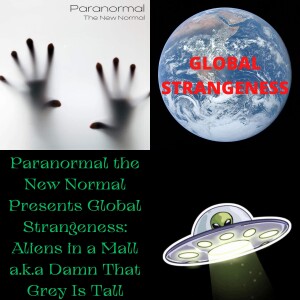 Paranormal the New Normal Presents Global Strangeness: Aliens in a Mall a.k.a Damn That Grey Is Tall
