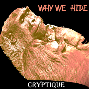 WHY WE HIDE