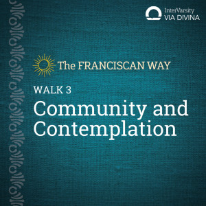 Walk 3 - Community and Contemplation