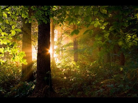 Raga Saraswati - Roshan Ali