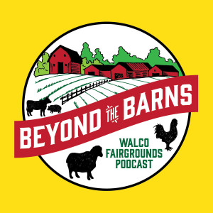 Beyond The Barns Episode 9 Country Music Business Legend Jimmy Jay Blauw