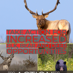 New Elk Hunting, Bear Hunting and Deer Hunting Opportunities for California.  But we need your help!