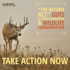 The “Return Act” GUTS Wildlife Conservation and Hunting
