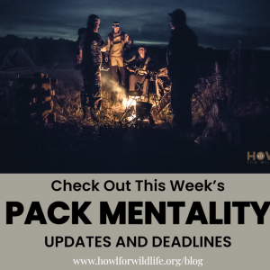 Pack Mentality Weekly Update - Feral Horses/Right To Food-Hunt/Grizzly Bears & Canada