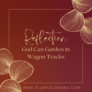 Reflection: God Can Garden in Wagon Tracks