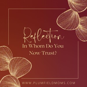 Reflection: In Whom Do You Now Trust?