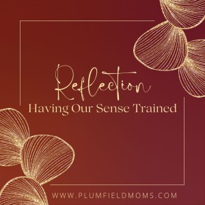 Reflection: Having Our Senses Trained