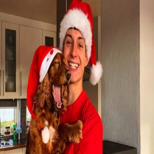 Ein annleis adventskalender