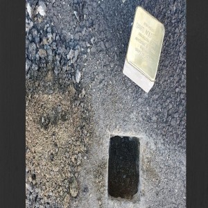 Snublestein-prosjektet i Norge