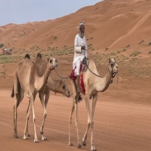 Plussreiser satser på Oman som nytt reisemål