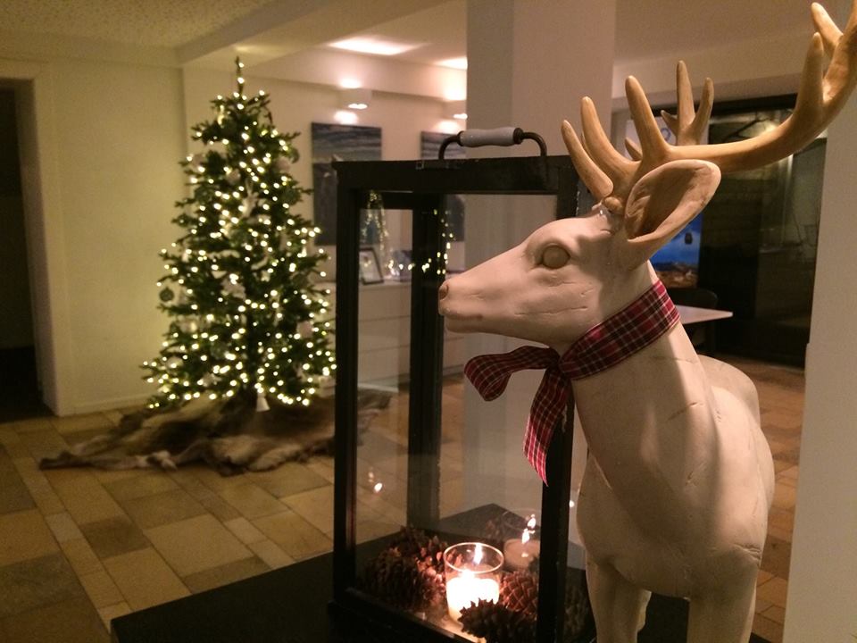Ensomt juletre søker gåver