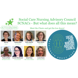 Social Care Nursing Advisory Council SCNAC's - But what does this all mean?