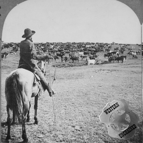 Western Unchained