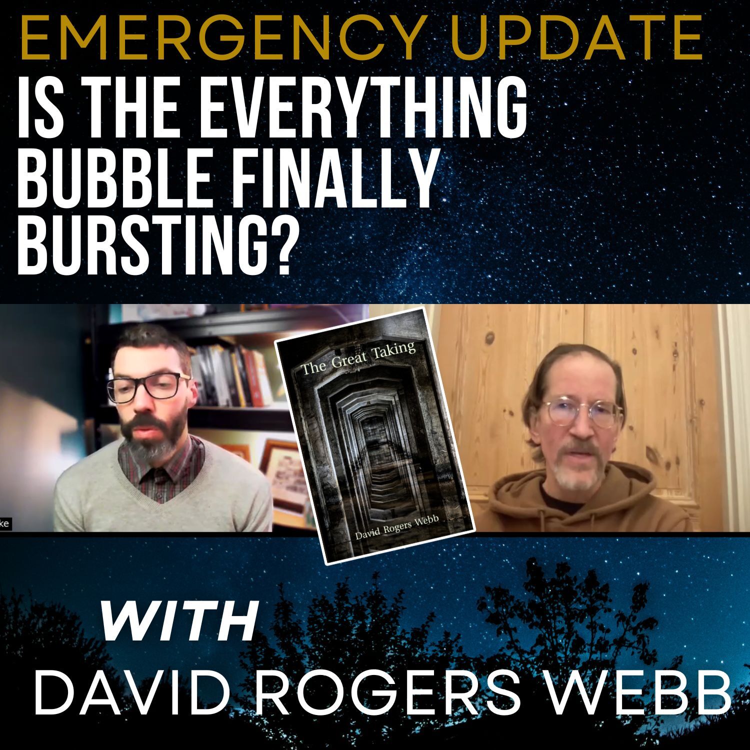 Emergency Update with David Rogers Webb: Is The Everything Bubble Finally Bursting?
