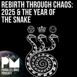 #95- Rebirth Through Chaos: 2025 & The Year of The Snake