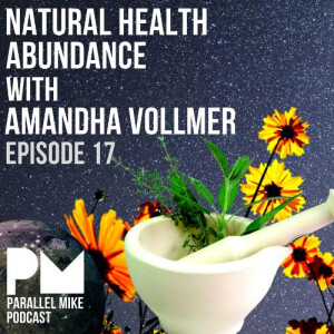 #17- Natural Health Abundance with Dr Amandha Vollmer
