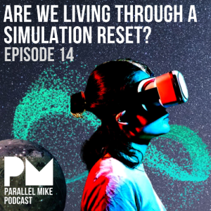 #14- Are We Living Through A Simulation Reset? with Howdie Mickoski